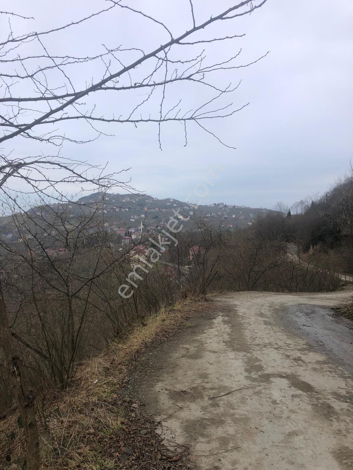 Trabzon Mağmat Geçit Mahallesi Satılık 1.320 M2 Arazi - Görsel 11