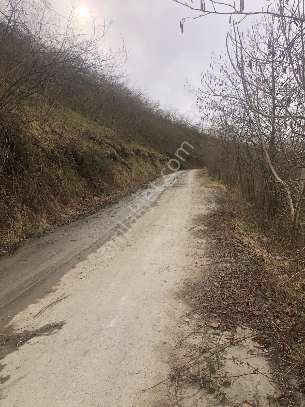 Trabzon Mağmat Geçit Mahallesi Satılık 1.320 M2 Arazi - Görsel 4