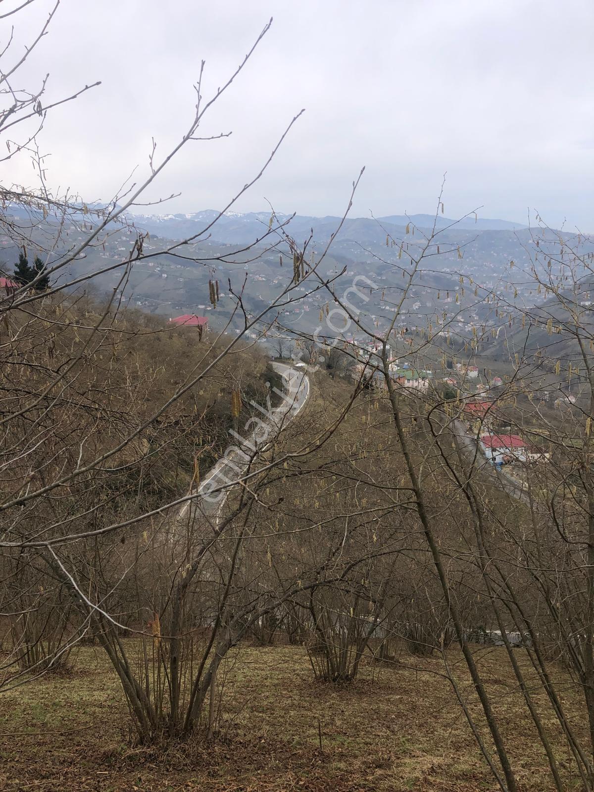 Trabzon Mağmat Geçit Mahallesi Satılık 1.320 M2 Arazi - Görsel 9