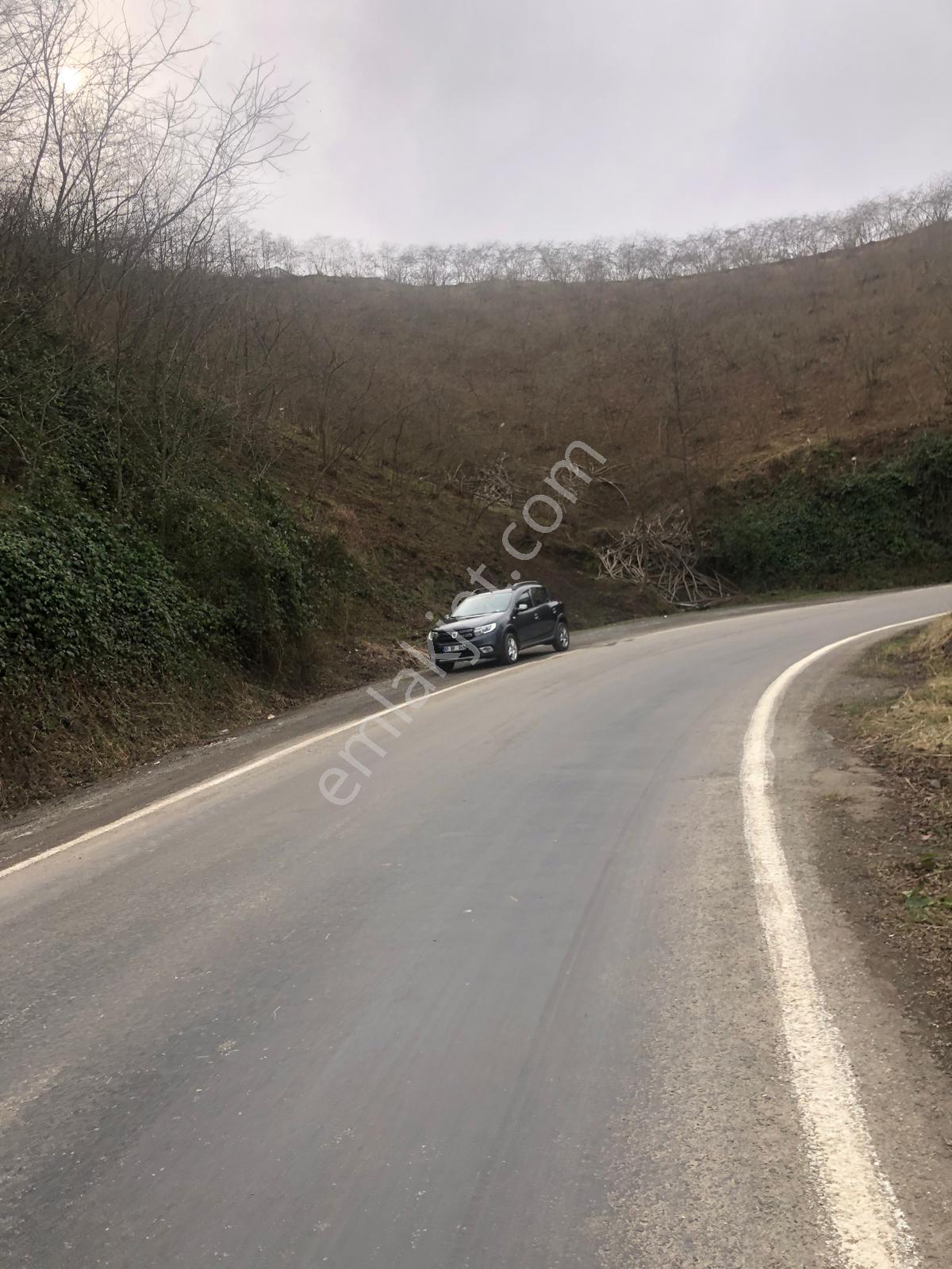 Trabzon Mağmat Geçit Mahallesi Satılık 1.320 M2 Arazi - Görsel 7