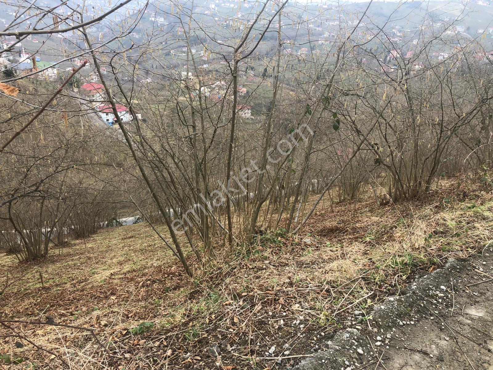 Trabzon Mağmat Geçit Mahallesi Satılık 1.320 M2 Arazi - Görsel 14