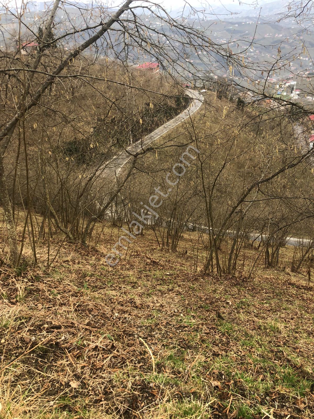 Trabzon Mağmat Geçit Mahallesi Satılık 1.320 M2 Arazi - Görsel 3