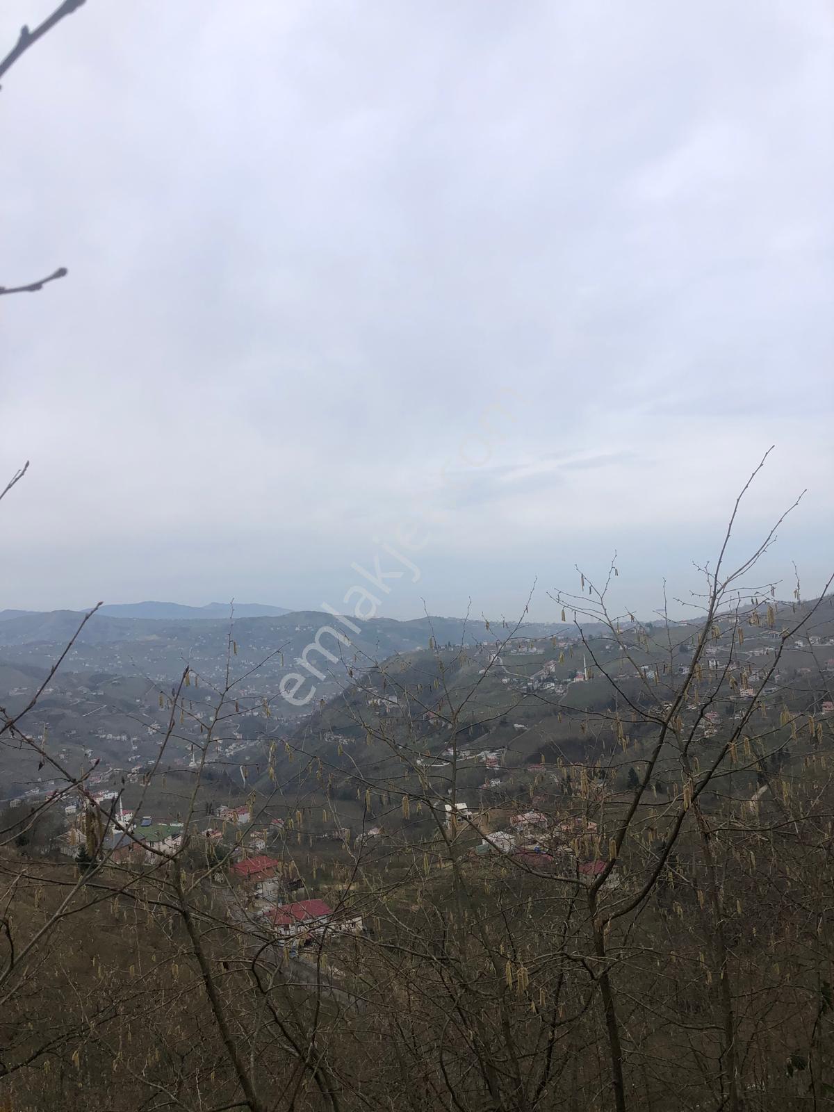 Trabzon Mağmat Geçit Mahallesi Satılık 1.320 M2 Arazi - Görsel 13