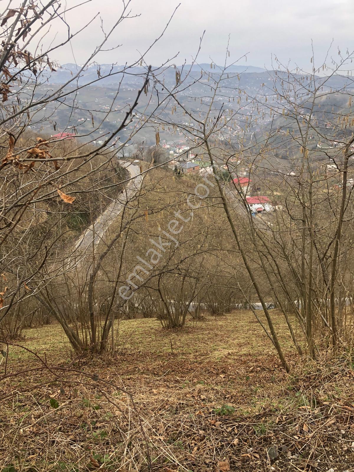 Trabzon Mağmat Geçit Mahallesi Satılık 1.320 M2 Arazi - Görsel 12