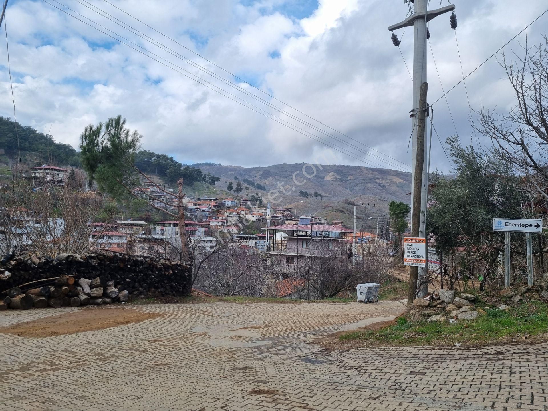 Nazilli Yöntem Emlak İzmir Beydağı Yeşiltepe Mah.de Ormana Sınır Satılık Kestane İncir Bahçesi - Görsel 2
