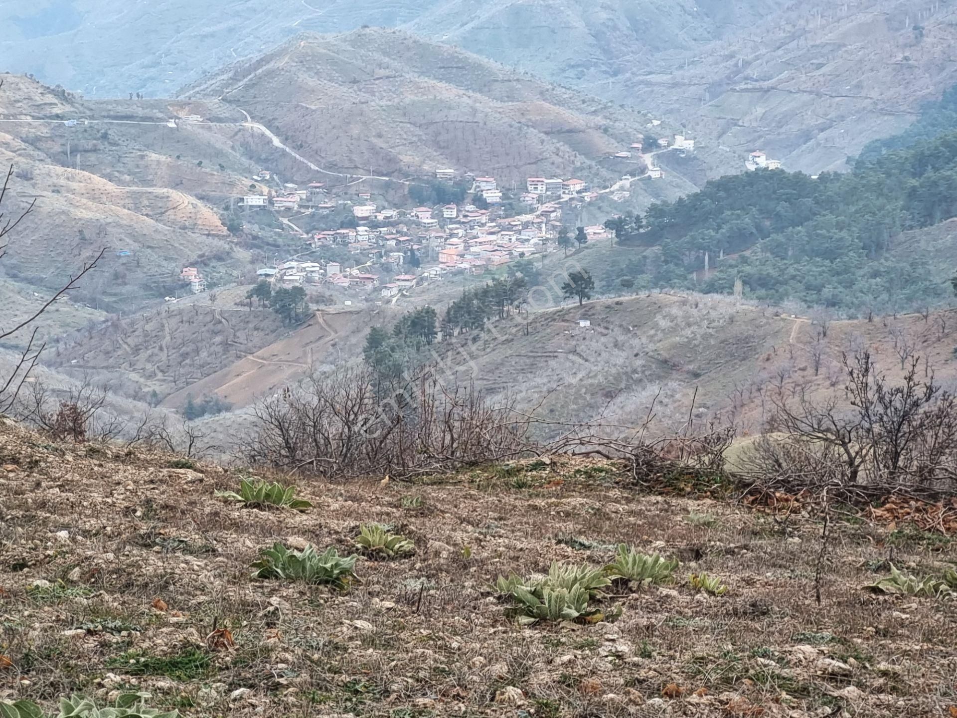 Nazilli Yöntem Emlak İzmir Beydağı Yeşiltepe Mah.de Ormana Sınır Satılık Kestane İncir Bahçesi - Görsel 29