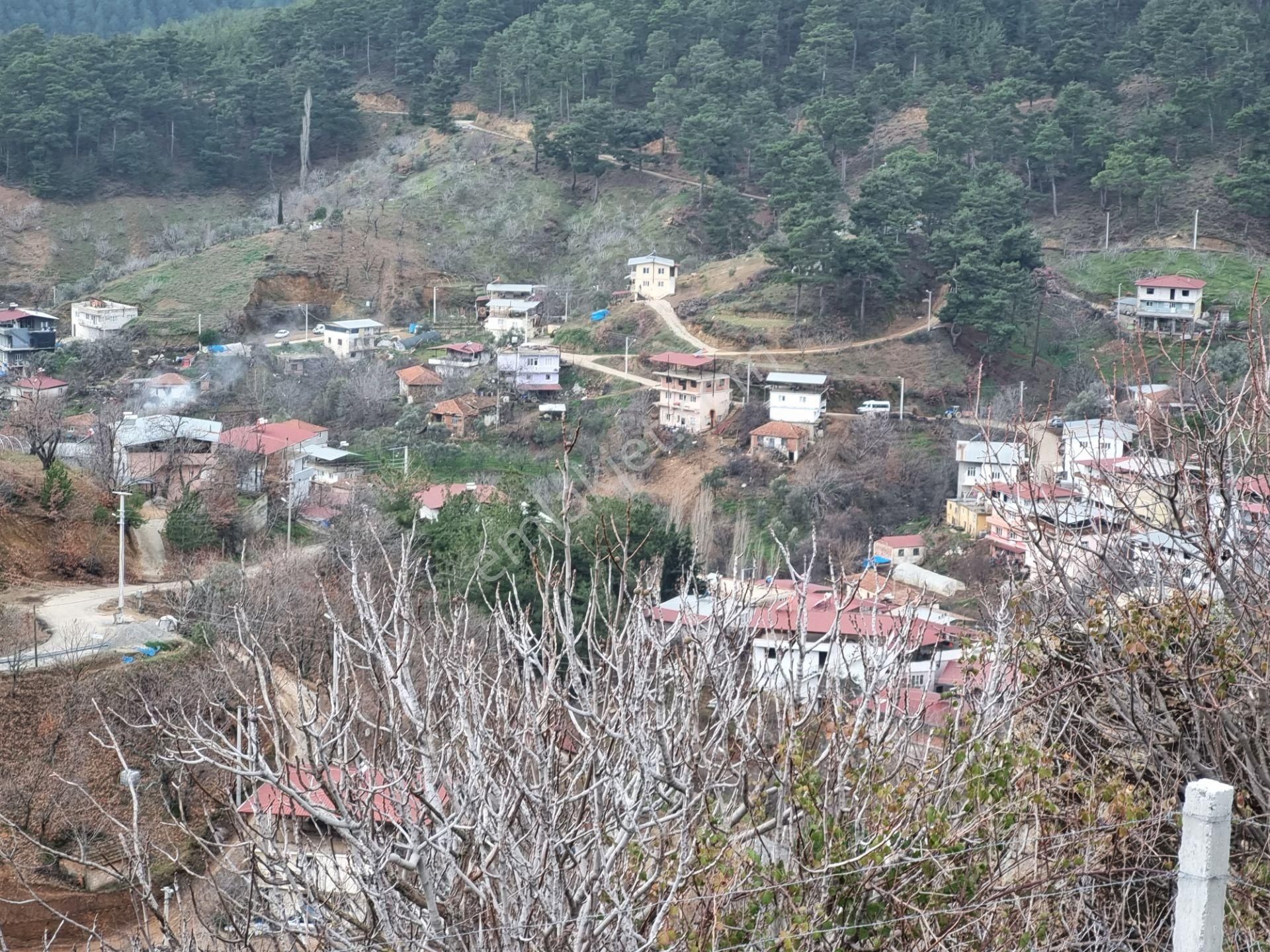 Beydağ Yeşiltepe Satılık Bağ & Bahçe Nazilli Yöntem Emlak İzmir Beydağı Yeşiltepe Mah.de Ormana Sınır Satılık Kestane İncir Bahçesi