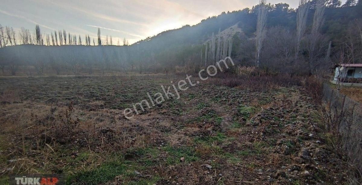 Honaz Karaçay Satılık Bağ & Bahçe Denizli Honaz Karacayda Satılık Villalık Bahçe