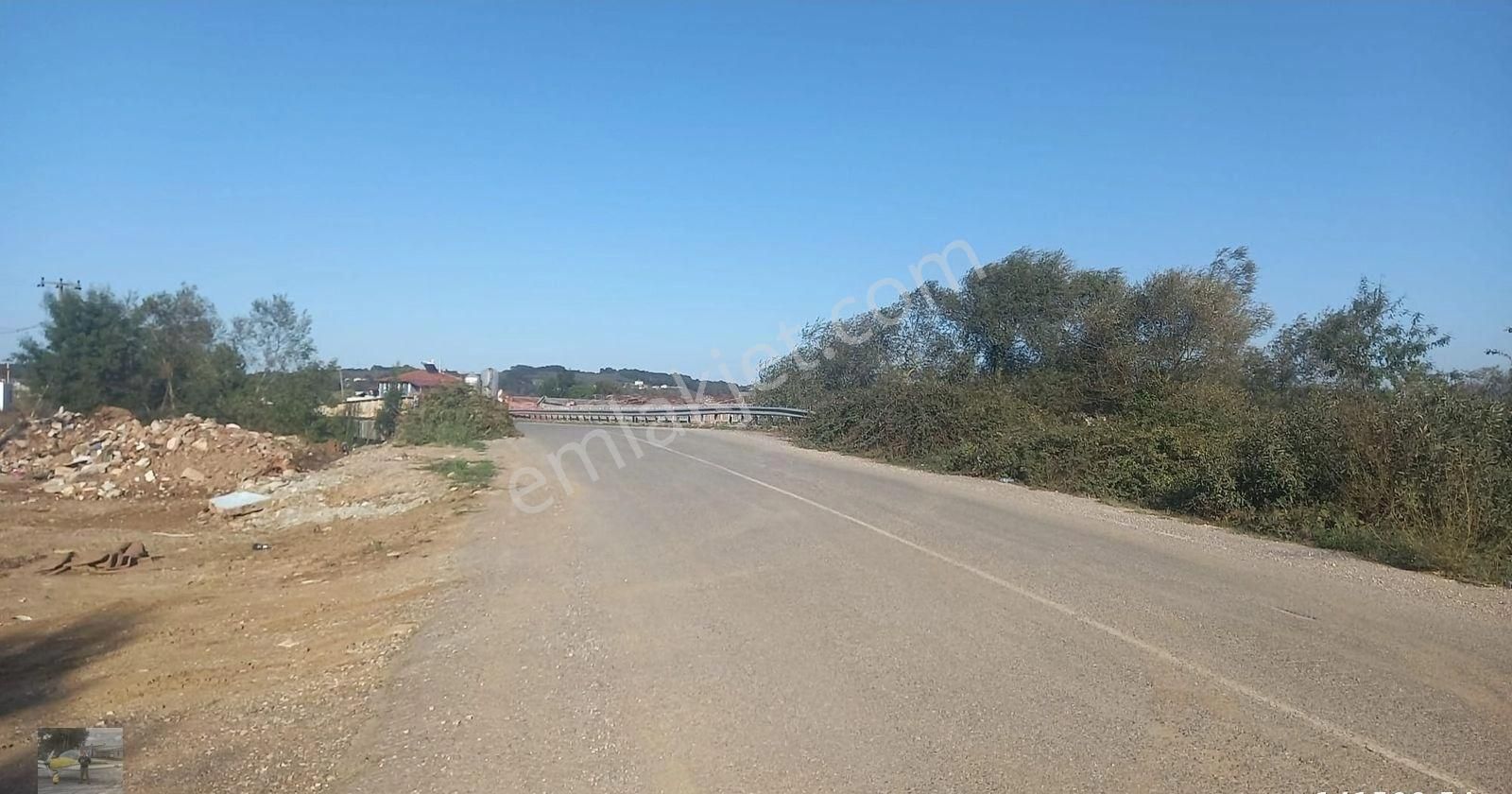 Mısır Ekili Olan Tarlamız Satılık... - Görsel 2