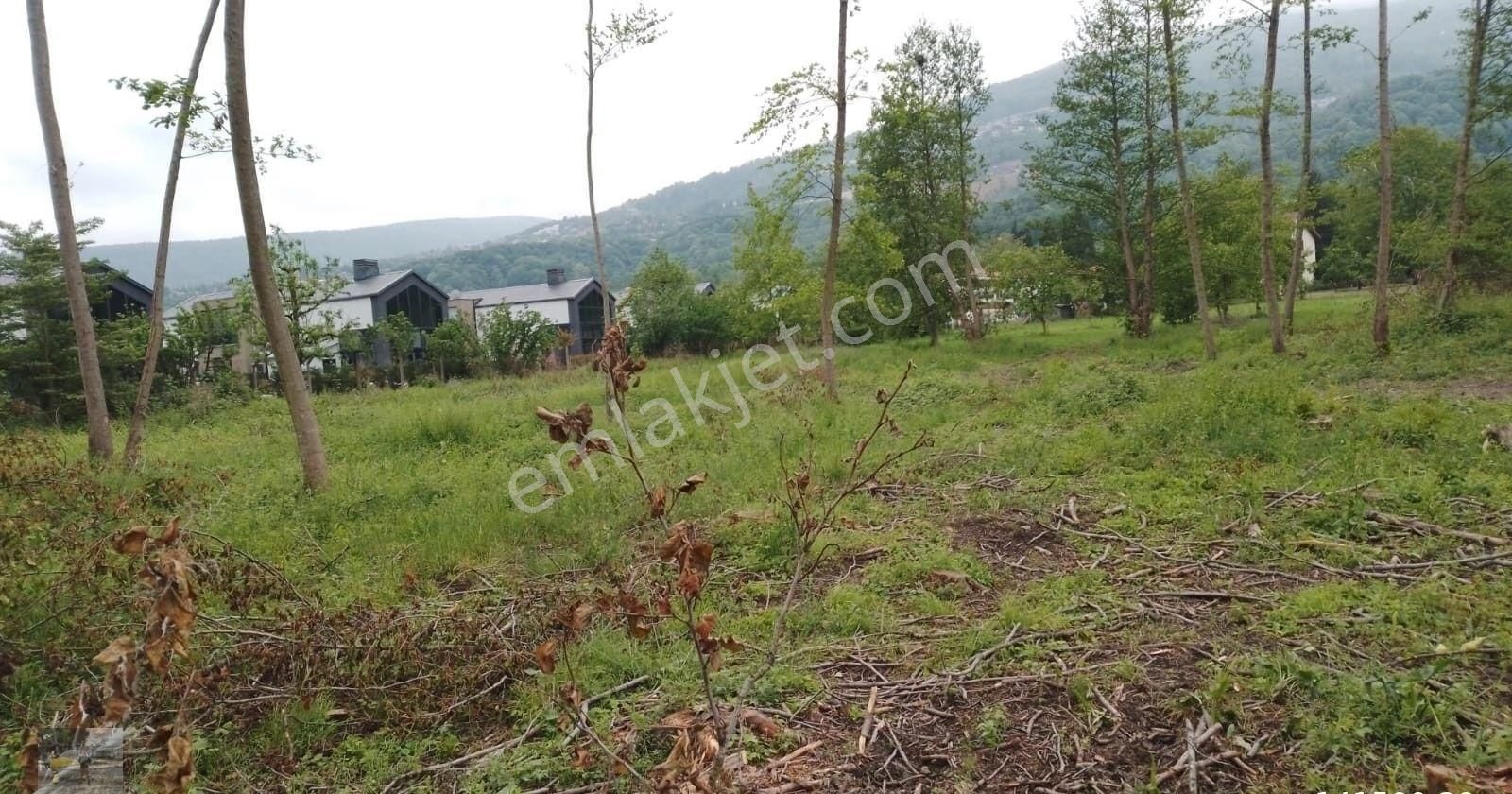 İmarlı Düz Yerde Doğalgazlı Arsamız Kiralık...