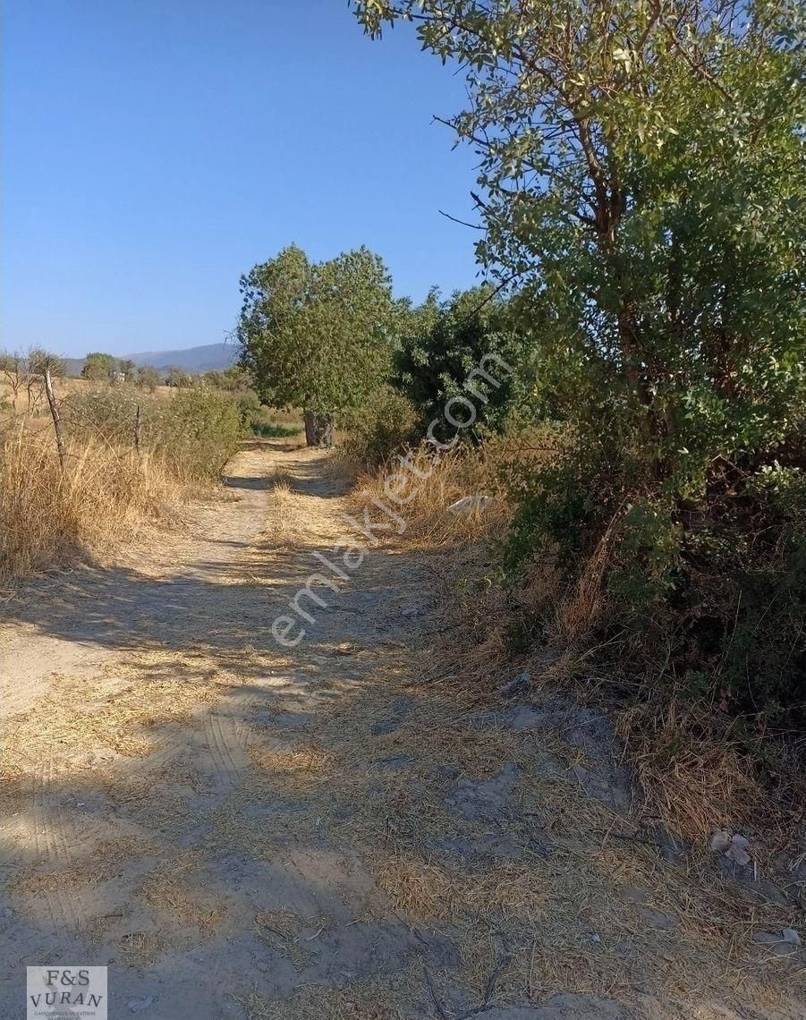 Karpuzlu/abak Mahallesi/ Satılık Tarla - Görsel 4