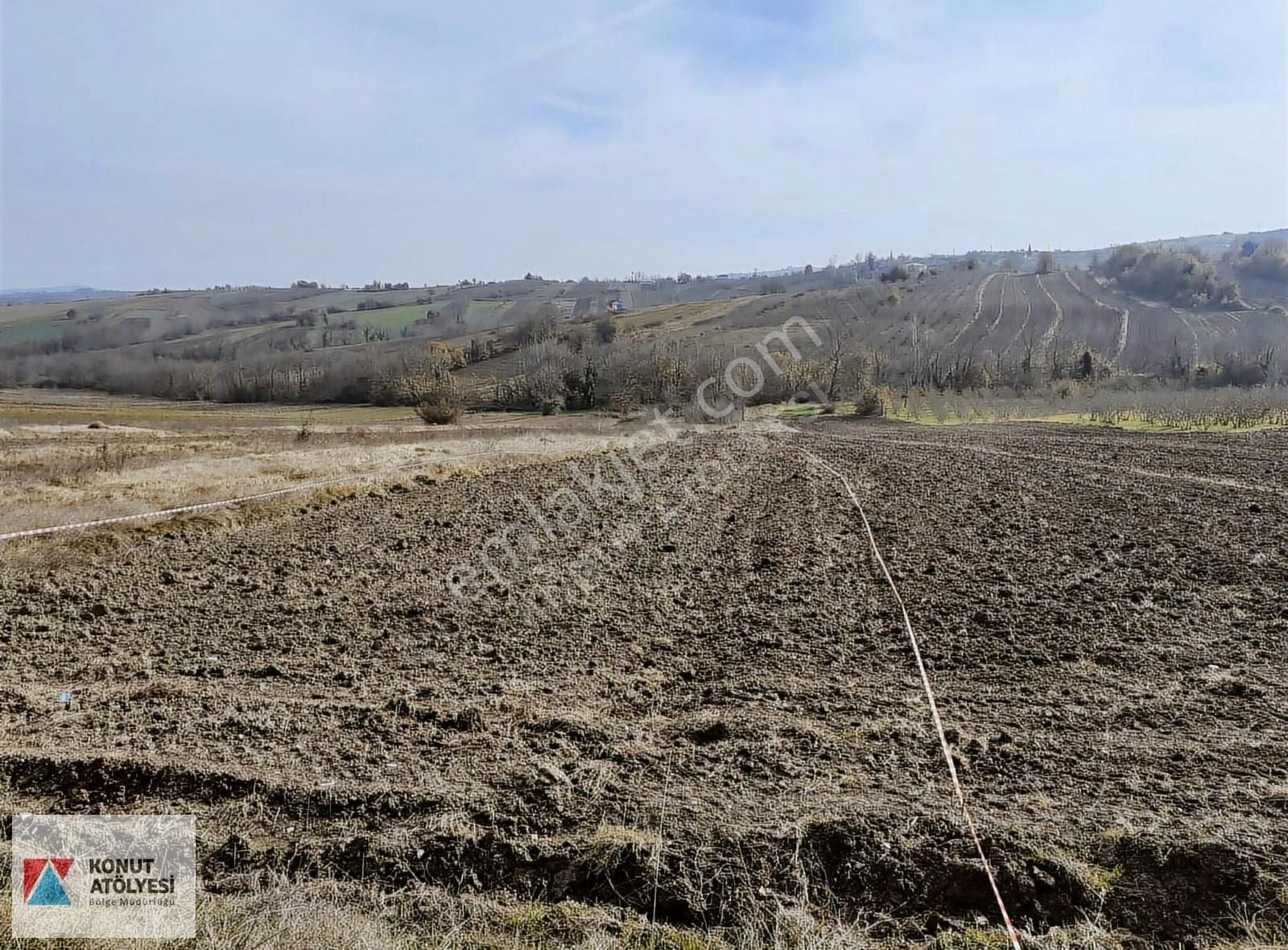 Kandıra Şerefsungur Satılık Tarla Kandıra Şerefsungur'da 2.424 Mt2 Caddeye Sıfır Satılık Arsa