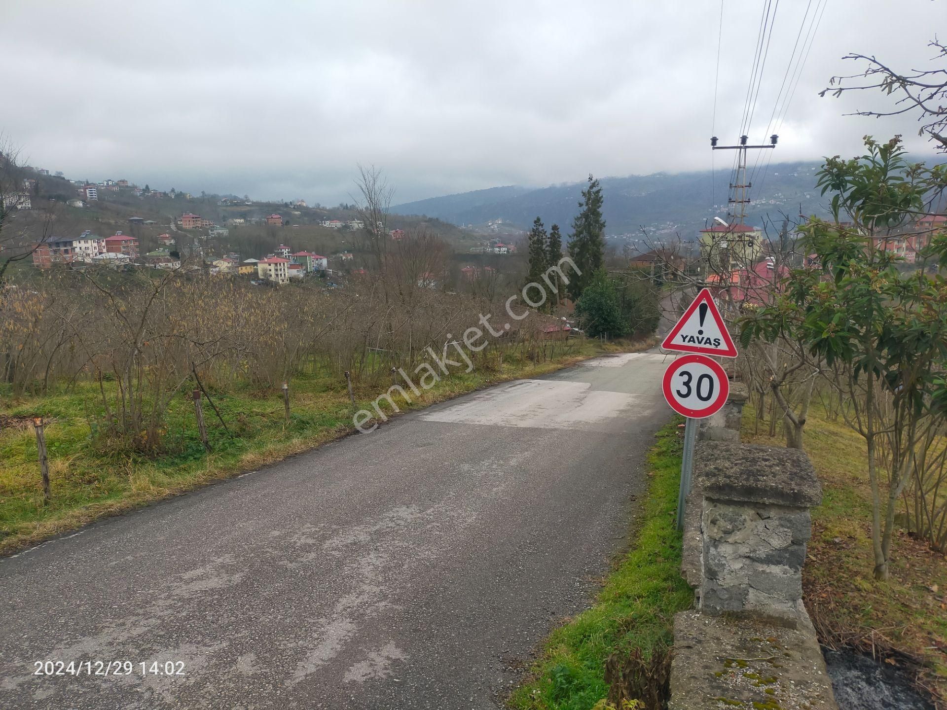 Ortahisar Gözalan Satılık Tarla Kaçmaz Emlaktan Trabzon Ortahisar Göz Alan Mah Satılık Arazı