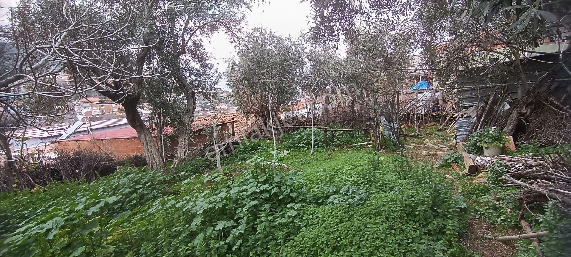 Ali Akdoğan Emlak Ofisinden Toprak Bahçeli Müstakil Ev Satılıktır - Görsel 29