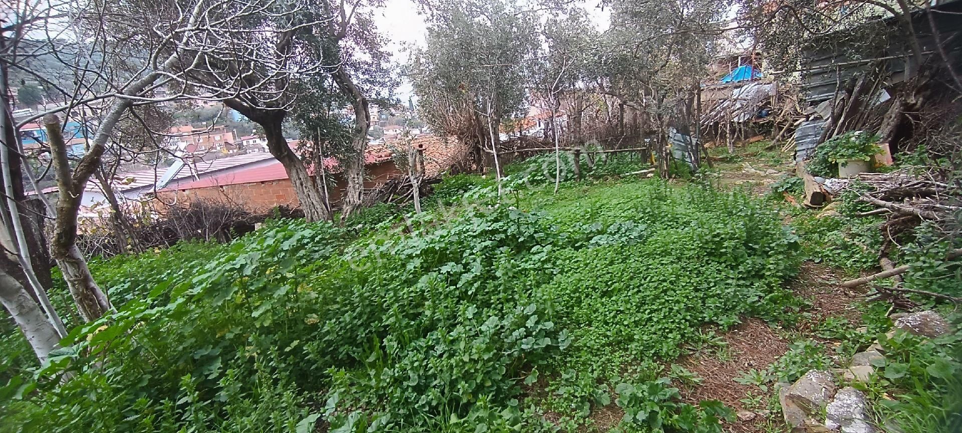 Ali Akdoğan Emlak Ofisinden Toprak Bahçeli Müstakil Ev Satılıktır - Görsel 27