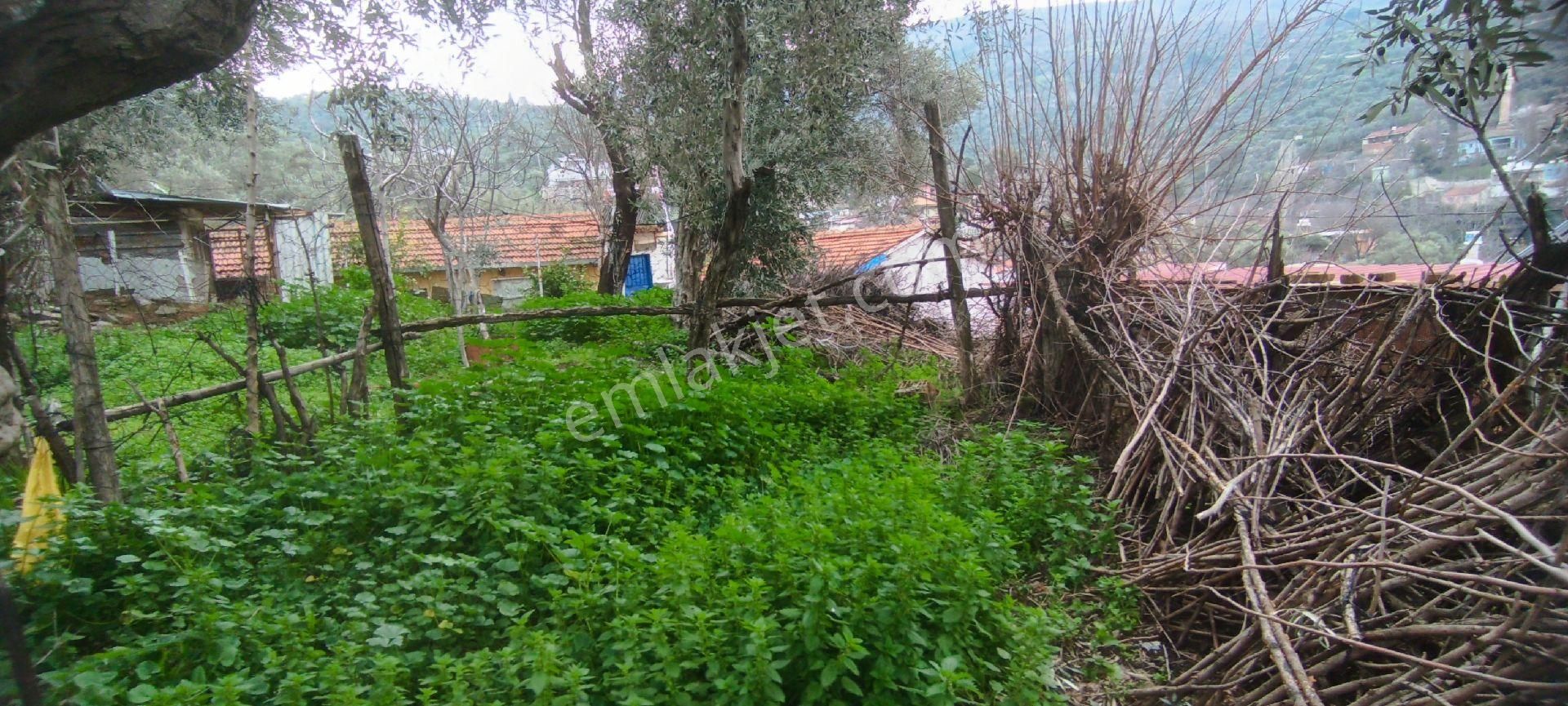 Ali Akdoğan Emlak Ofisinden Toprak Bahçeli Müstakil Ev Satılıktır - Görsel 24