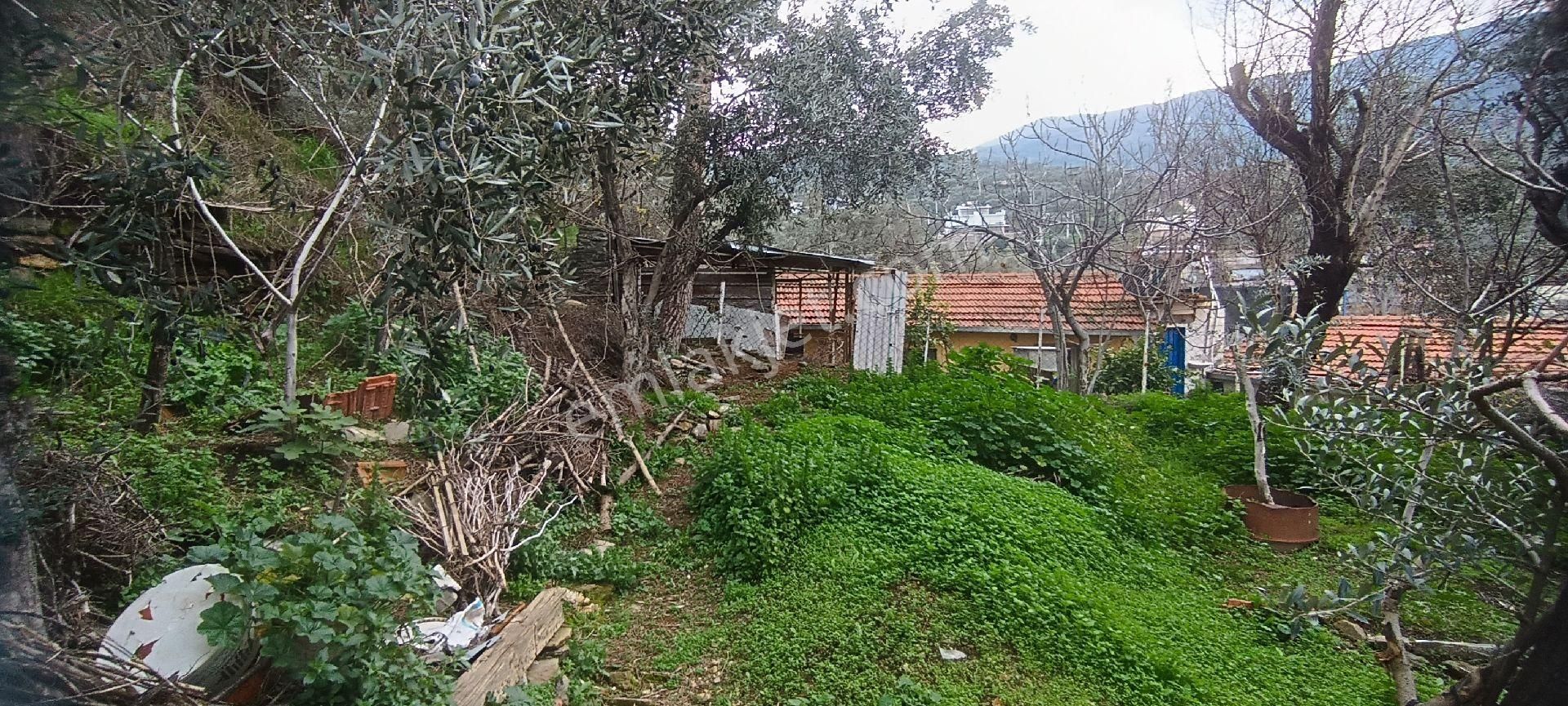 Ali Akdoğan Emlak Ofisinden Toprak Bahçeli Müstakil Ev Satılıktır - Görsel 14