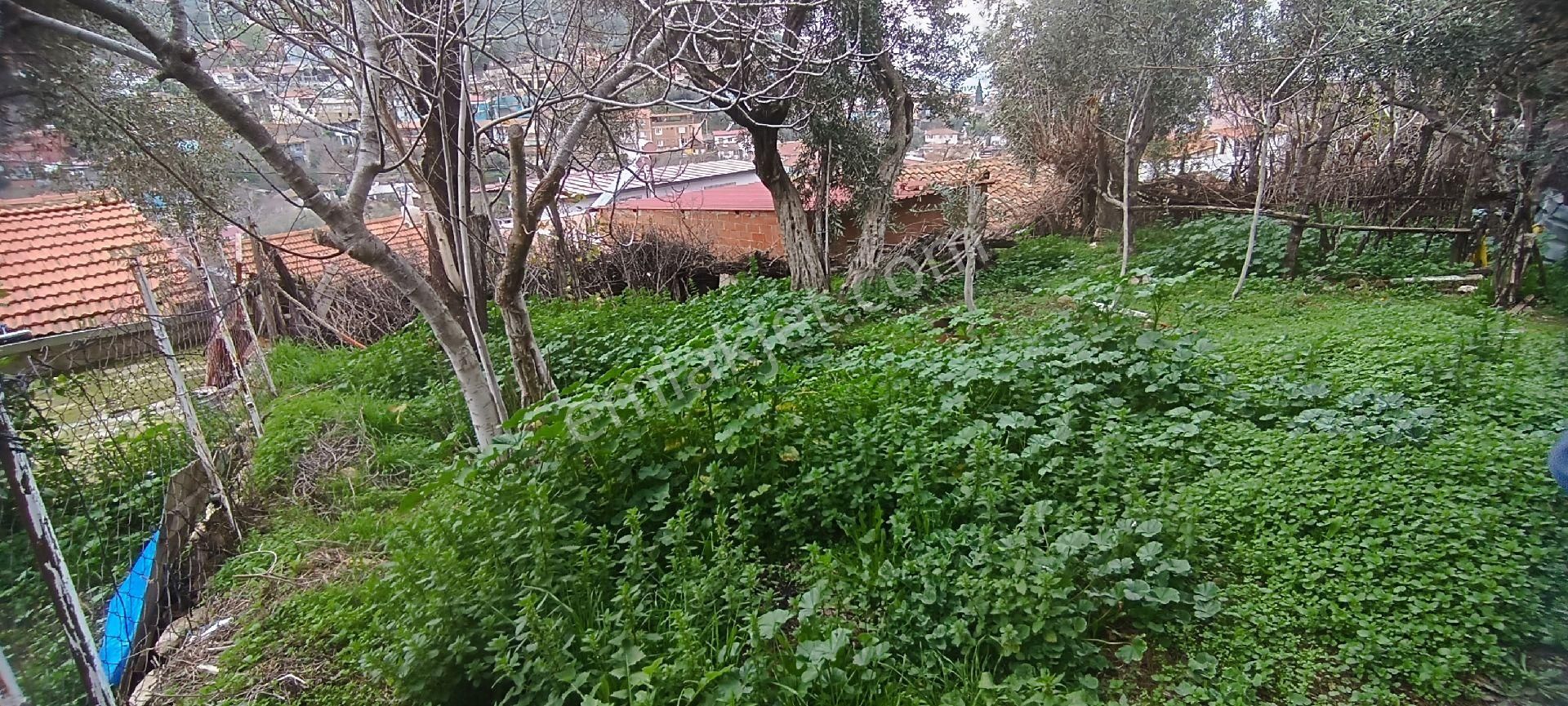 Ali Akdoğan Emlak Ofisinden Toprak Bahçeli Müstakil Ev Satılıktır - Görsel 28