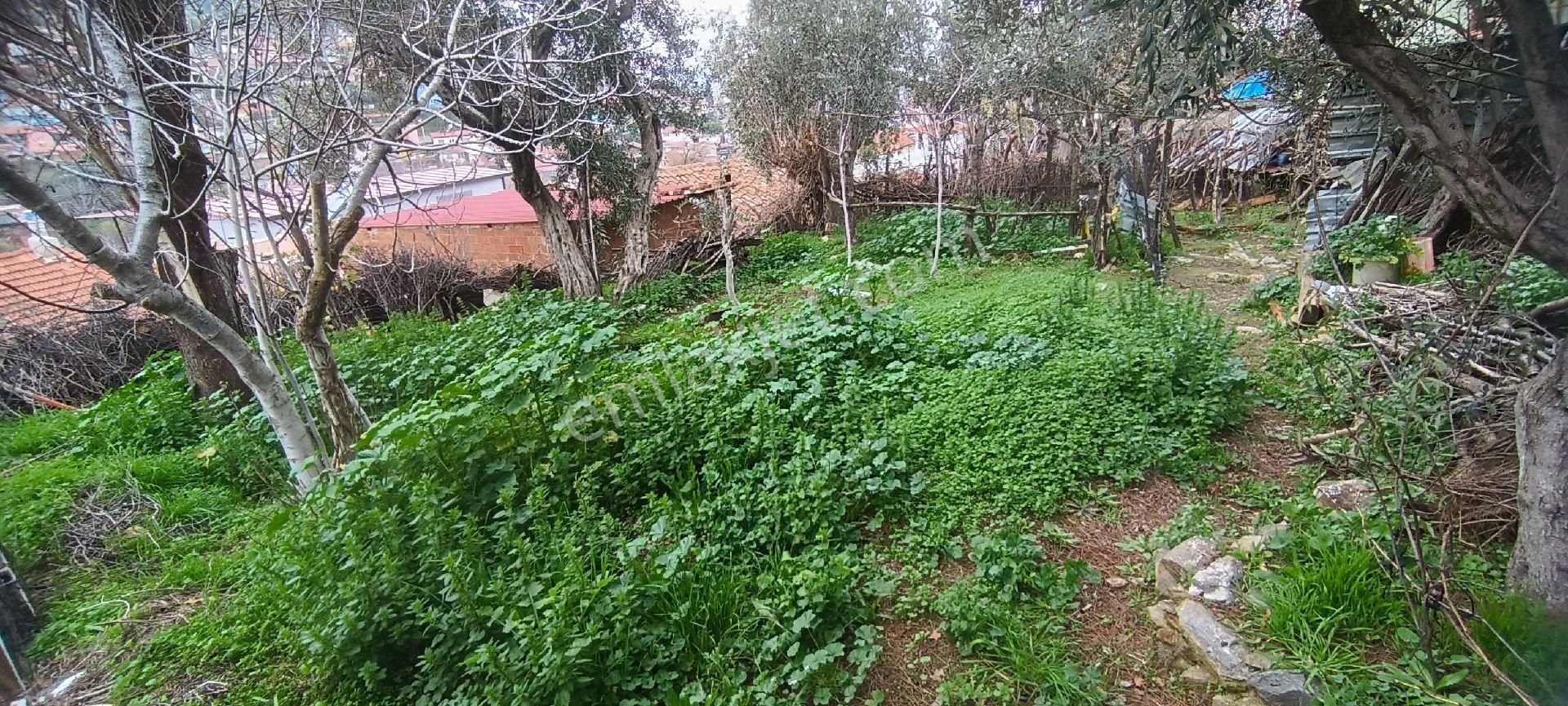 Ali Akdoğan Emlak Ofisinden Toprak Bahçeli Müstakil Ev Satılıktır - Görsel 26