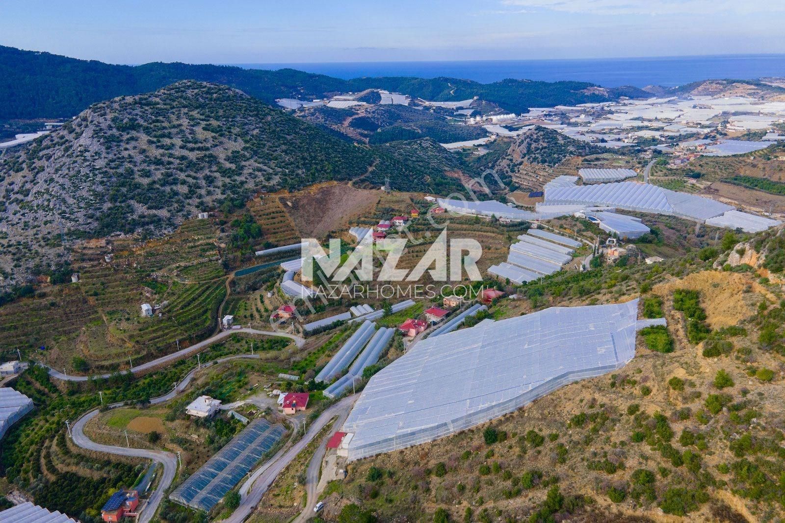 Alanya Özvadi Satılık Tarla Alanya Özvadi'de 14.253 M² Satılık Tarla Ve Kapalı Sera