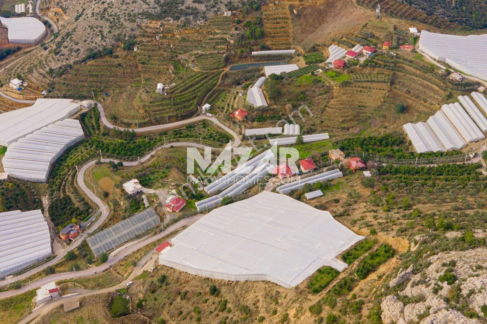 Alanya Özvadi'de 14.253 M² Satılık Tarla Ve Kapalı Sera