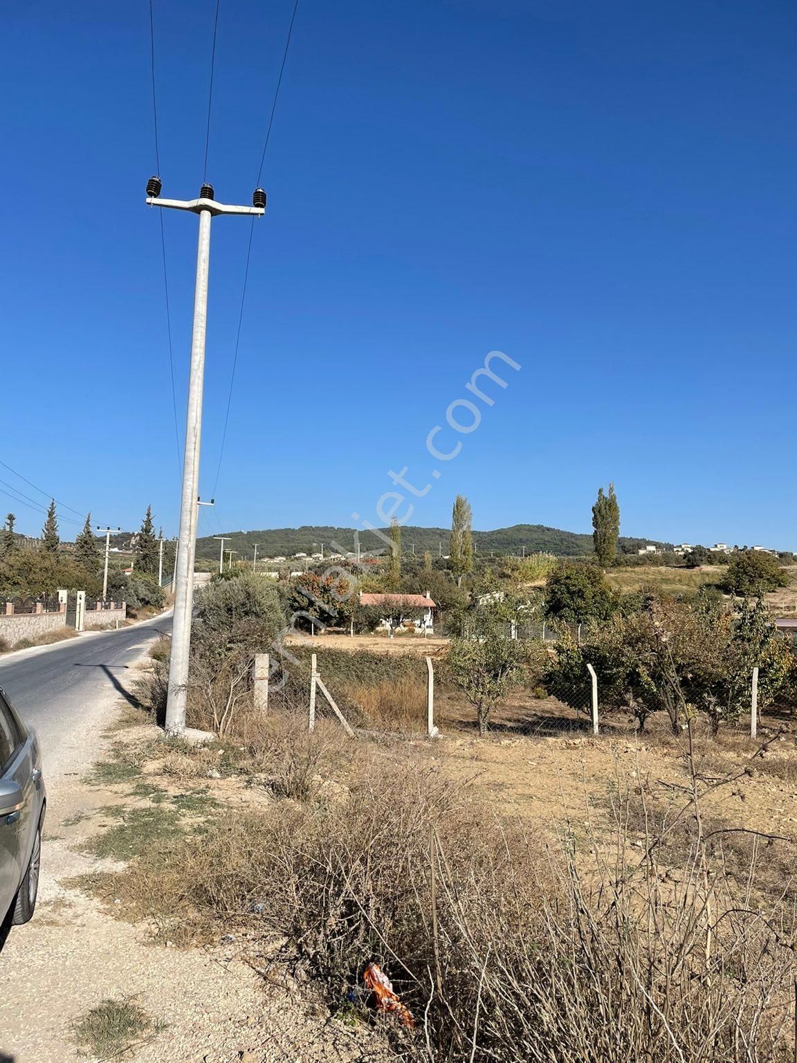 Kuşadası Yaylaköy Satılık Arazi Kuşadası Yaylaköyde Yatırımlık 3.500 M² Arazi