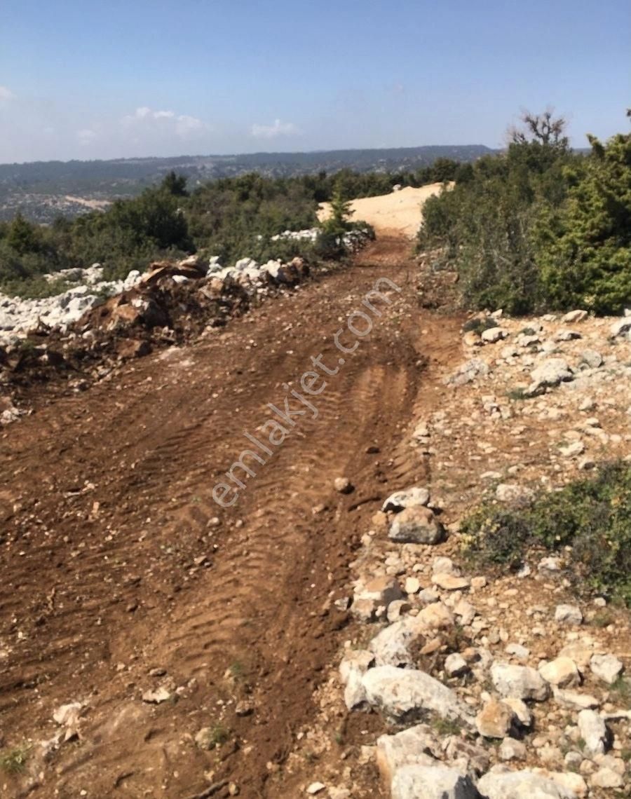 Silifke Çaltıbozkır Satılık Muhtelif Arsa Çaltibozkir Sinada 15 Dönüm Tarla