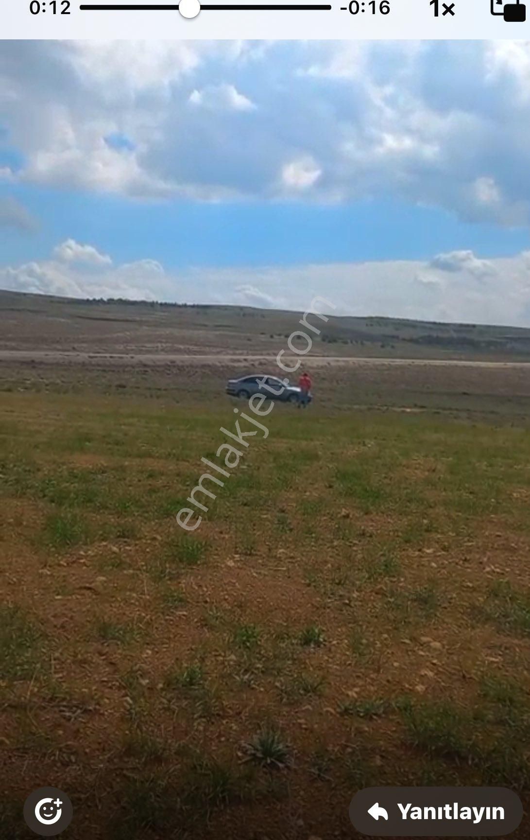 Yatırımlık 16 Dönüm Tarla Özboyuninceli Mah