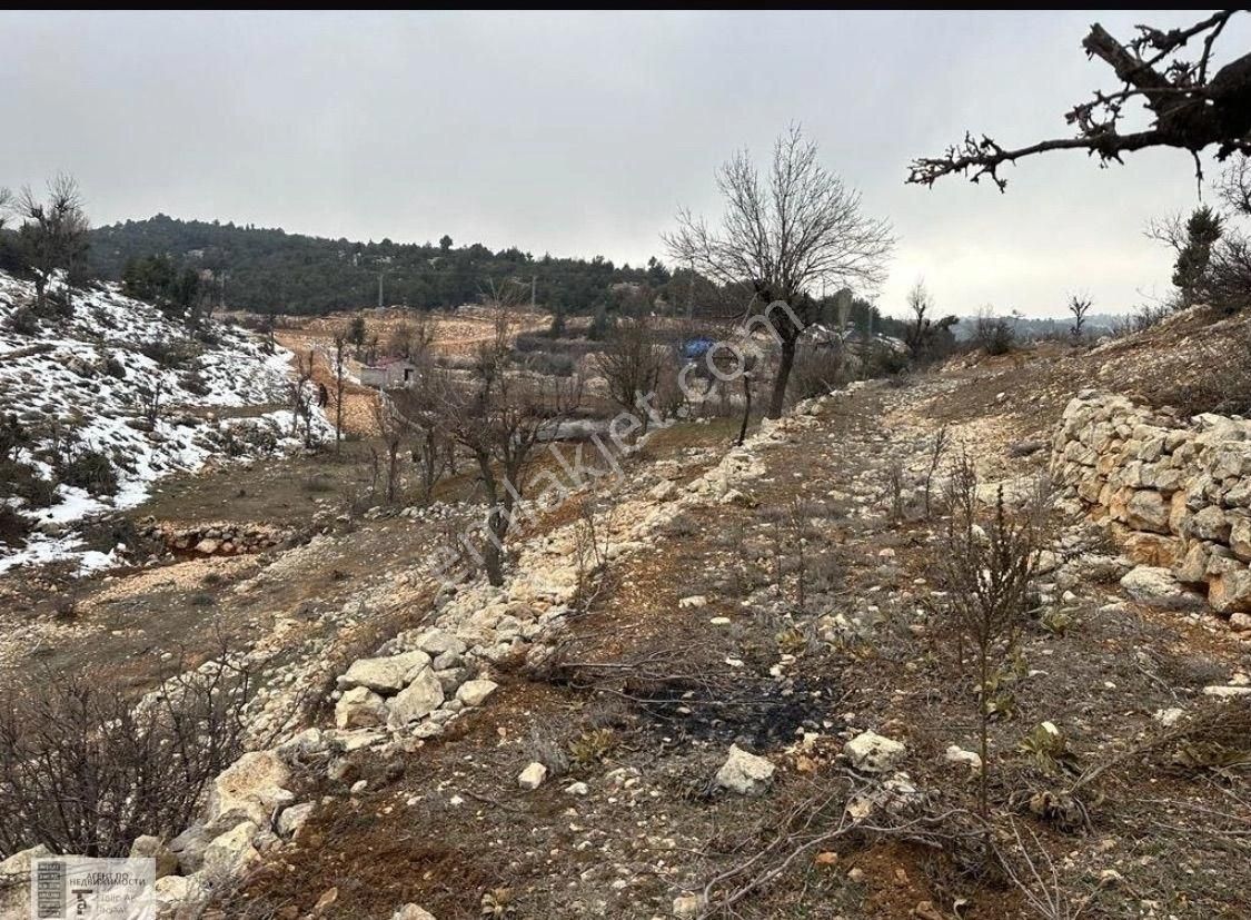 Silifke Çaltıbozkır Satılık Bağ & Bahçe 748 M2 Çaltı Bozkır Yayla Evi Yapılabilr