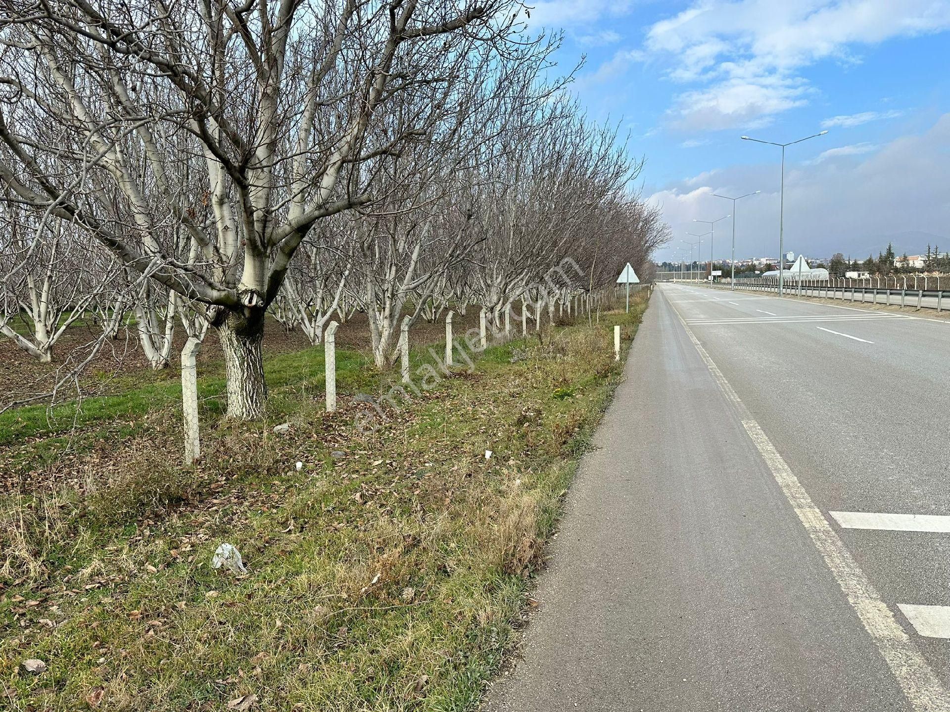 Merzifon Bahçecik Köyü Satılık Daire Hedef Emlak Tan Satılık