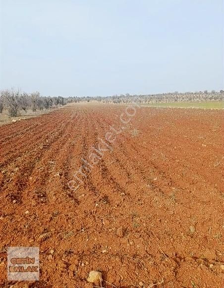 Şahinbey Çimenli Satılık Tarla Çetin Emlak'tan Çimenli'de Satılık Arazi