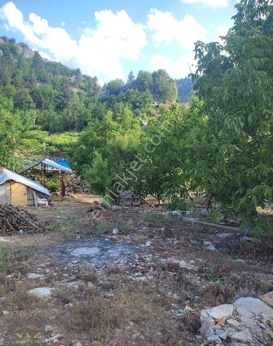 Aslanköy Kavaklıpınar Da Şeftali Bahçesi - Görsel 19