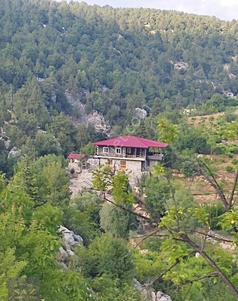 Aslanköy Kavaklıpınar Da Şeftali Bahçesi - Görsel 7