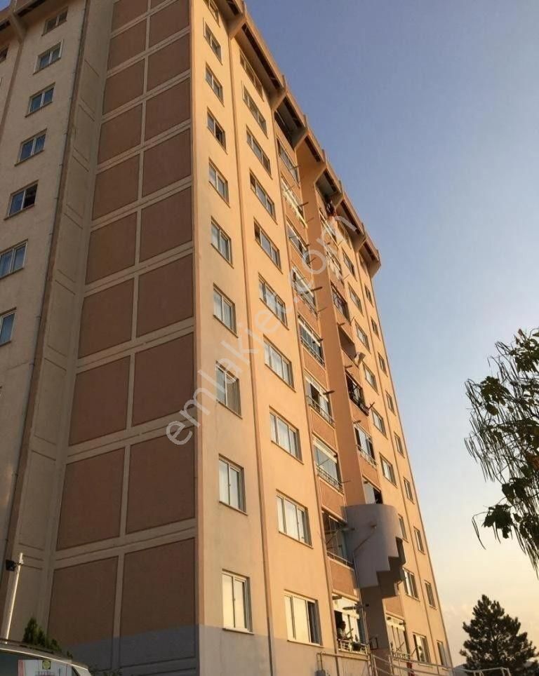 Tokat Merkez Doğukent Kiralık Daire Doğukent Mahallesi Toki 2. Etap C Bloklarında 3+1 Kiralık Daire