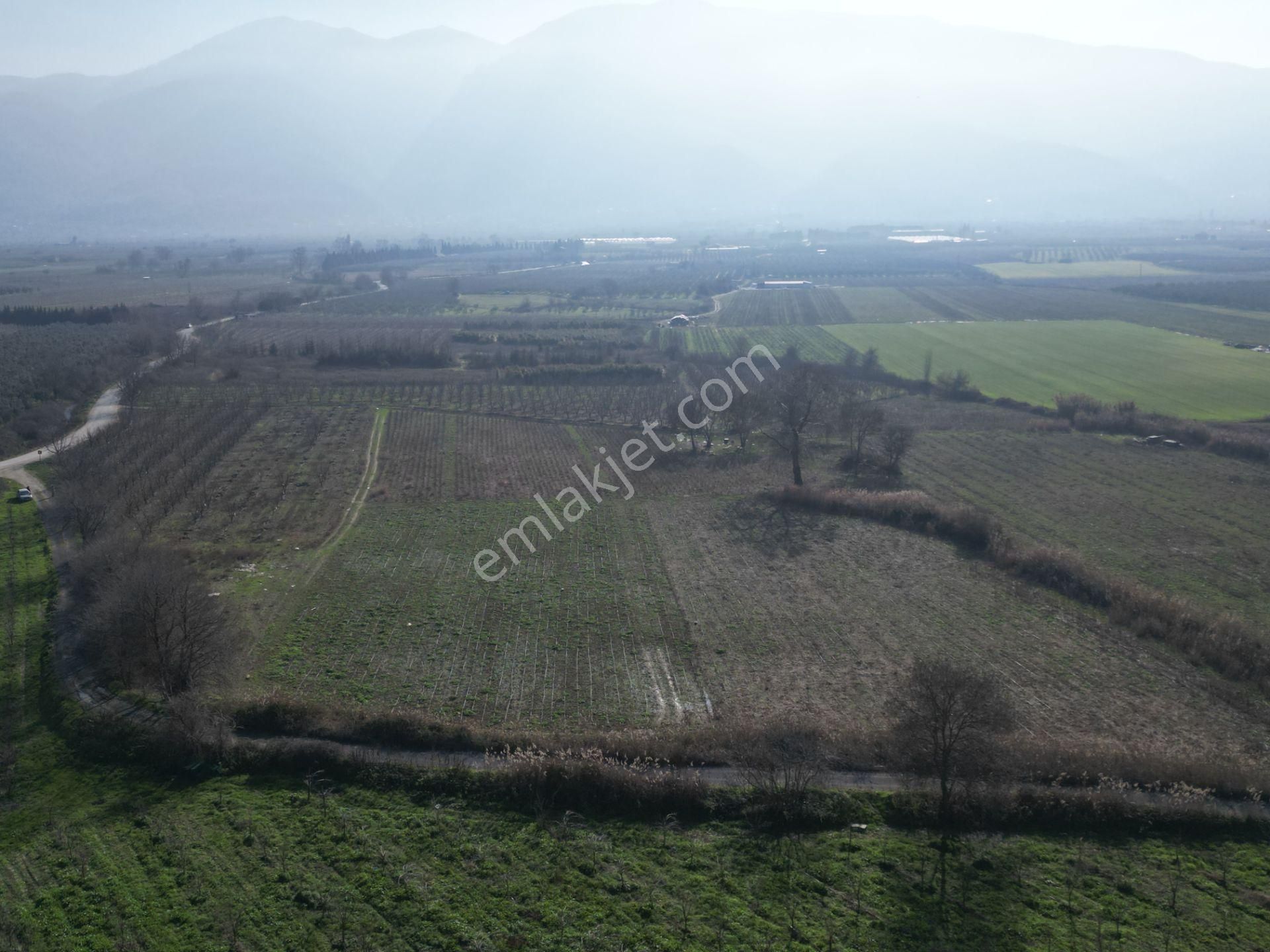 Bursa Orhangazi Gürle Satılık 2 Parsel Tarla - Görsel 9