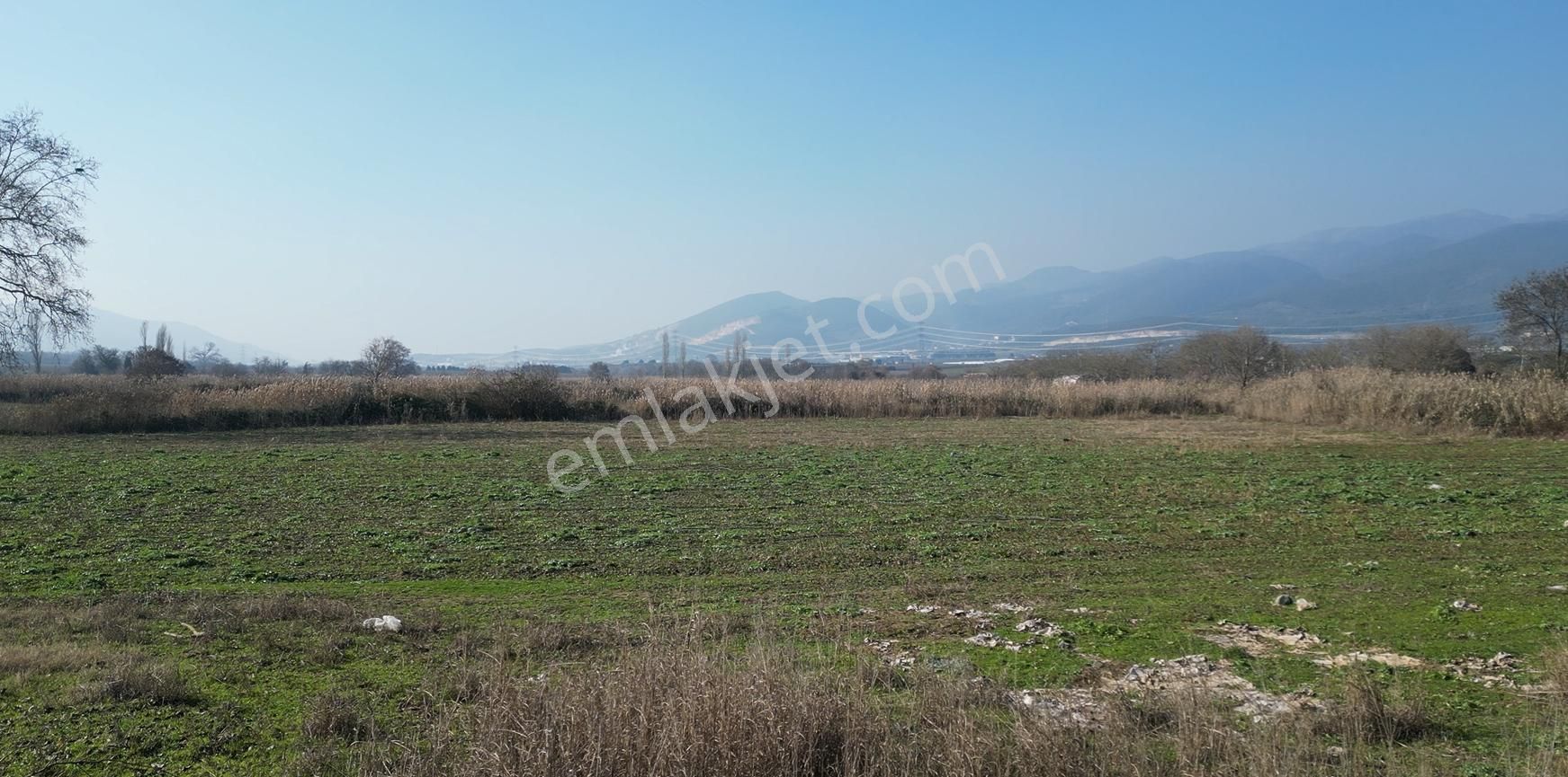 Bursa Orhangazi Gürle Satılık 2 Parsel Tarla - Görsel 4