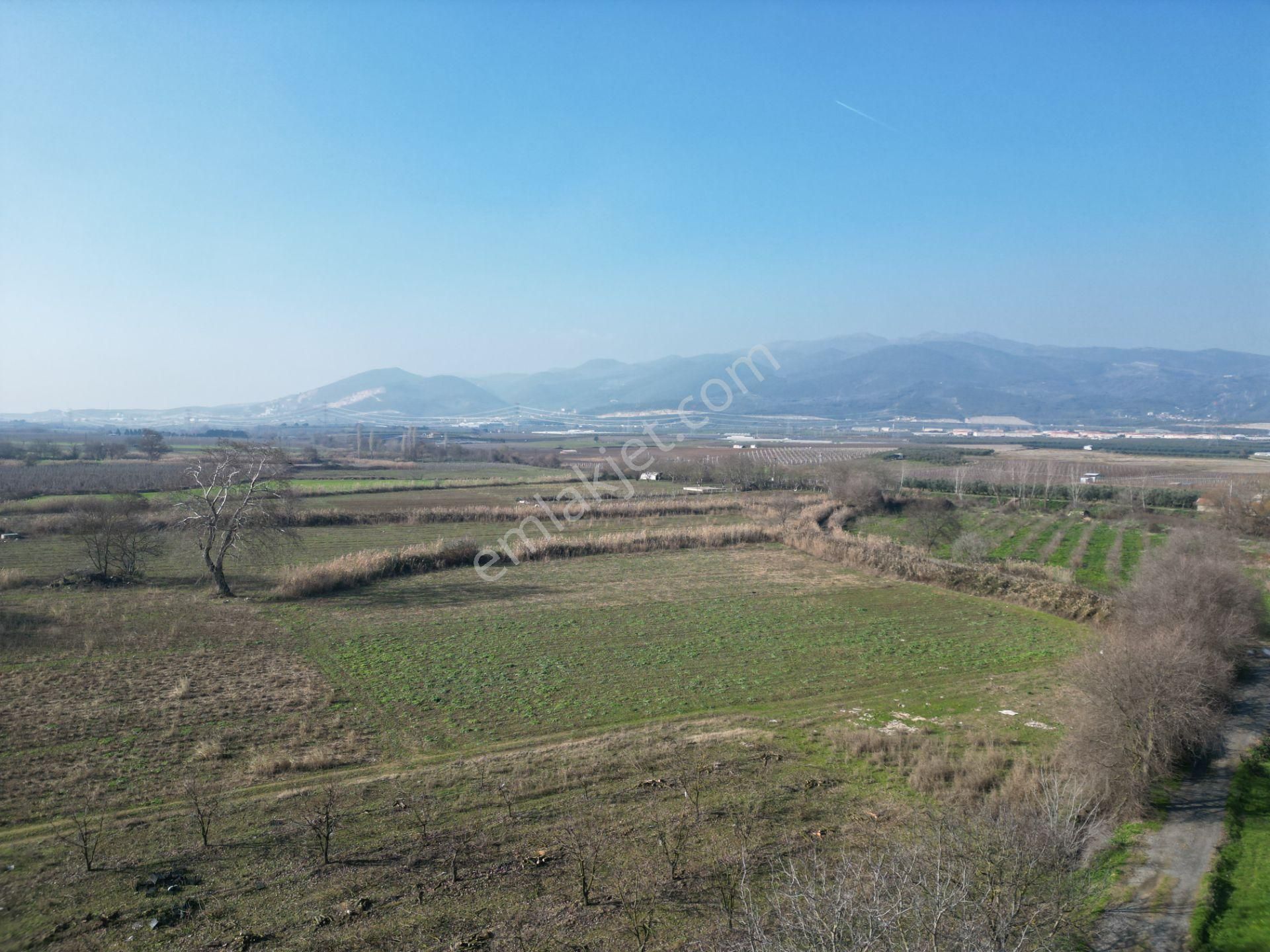 Bursa Orhangazi Gürle Satılık 2 Parsel Tarla - Görsel 12