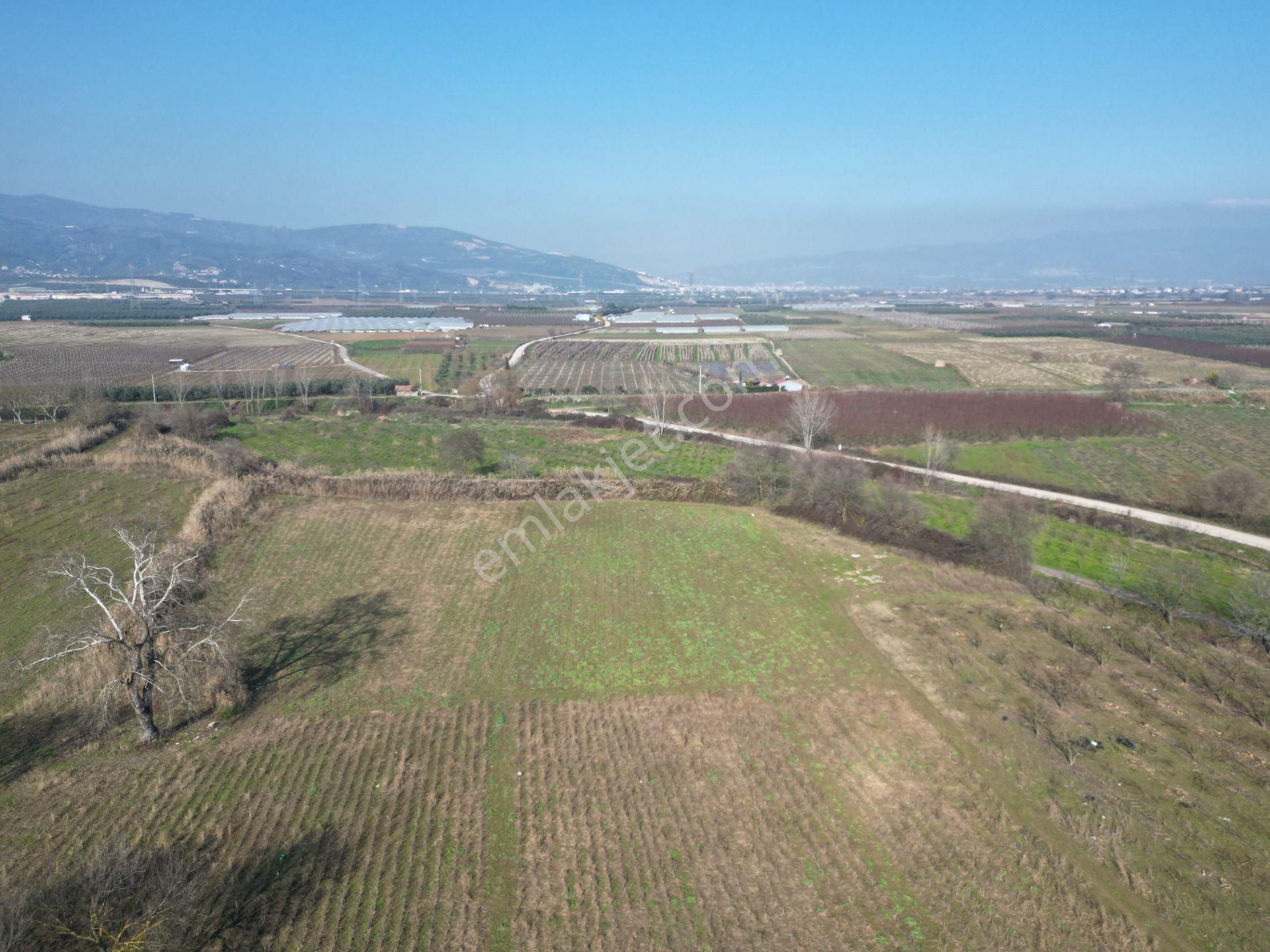 Bursa Orhangazi Gürle Satılık 2 Parsel Tarla - Görsel 7