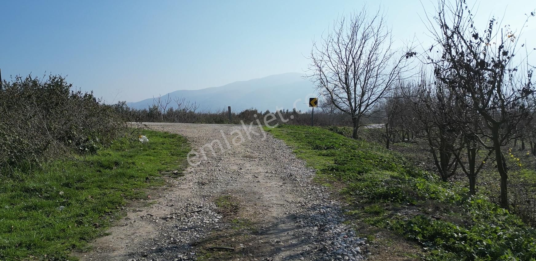 Bursa Orhangazi Gürle Satılık 2 Parsel Tarla - Görsel 5