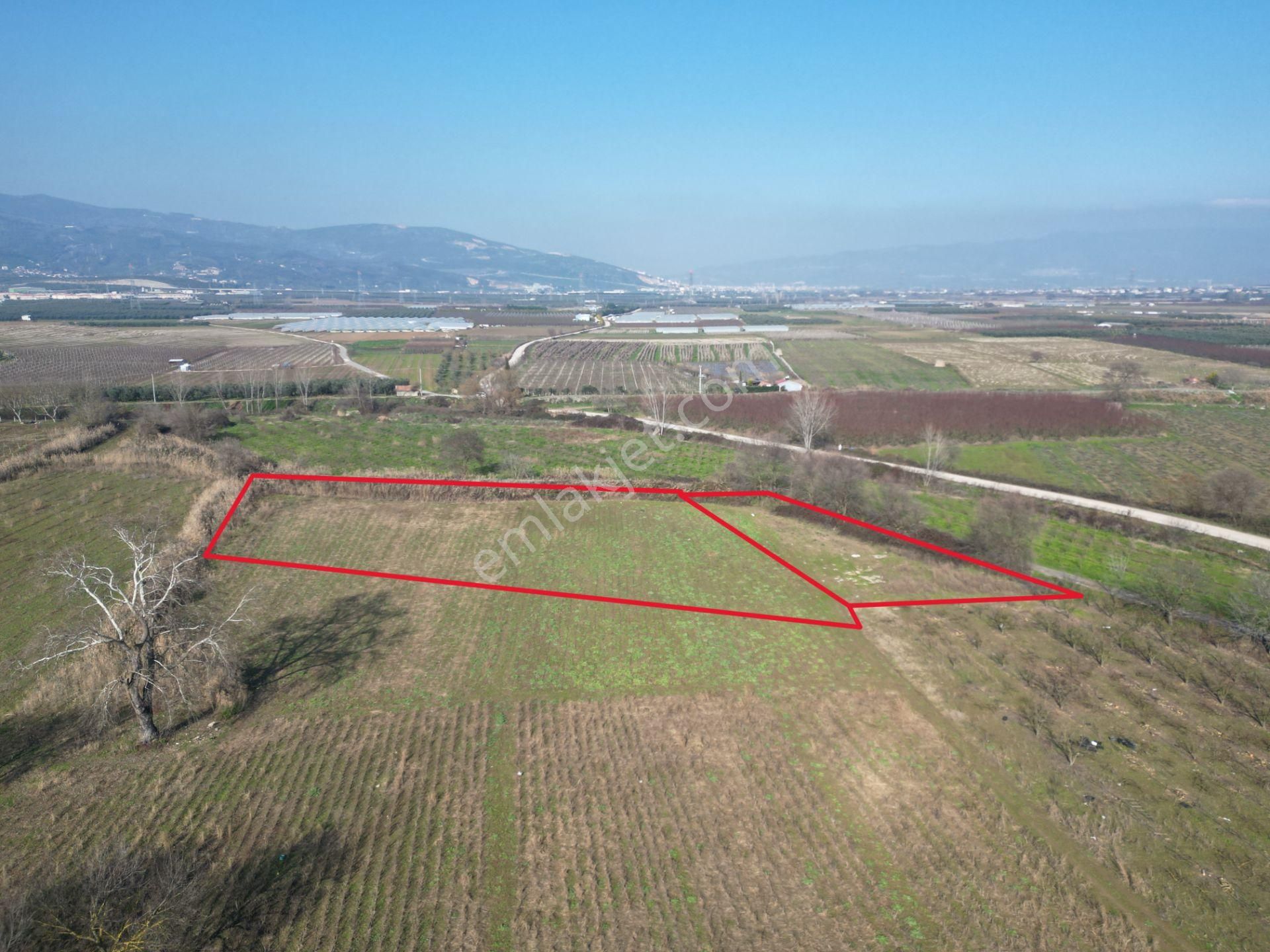 Bursa Orhangazi Gürle Satılık 2 Parsel Tarla - Görsel 8