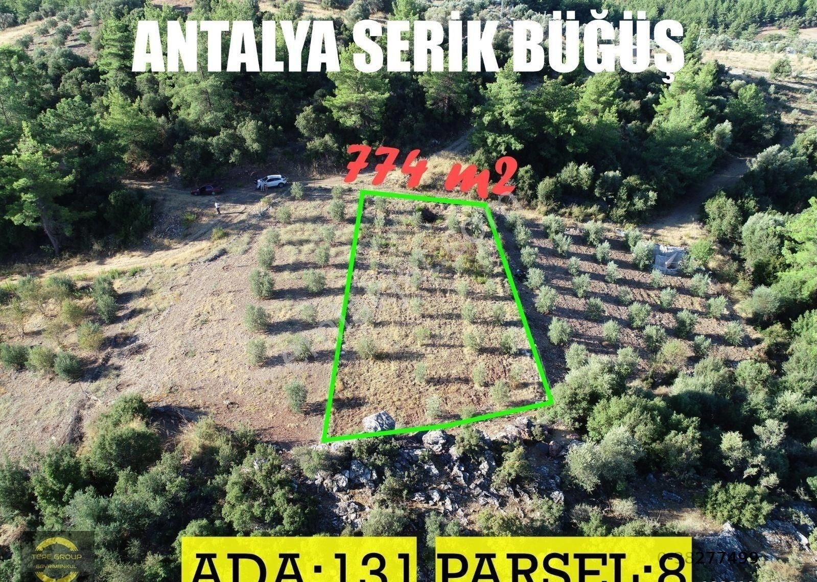 Serik Töngüşlü Satılık Bağ & Bahçe Antalya Serik Büğüşte 774 M2 Tek Tapu Satılık Bahçe