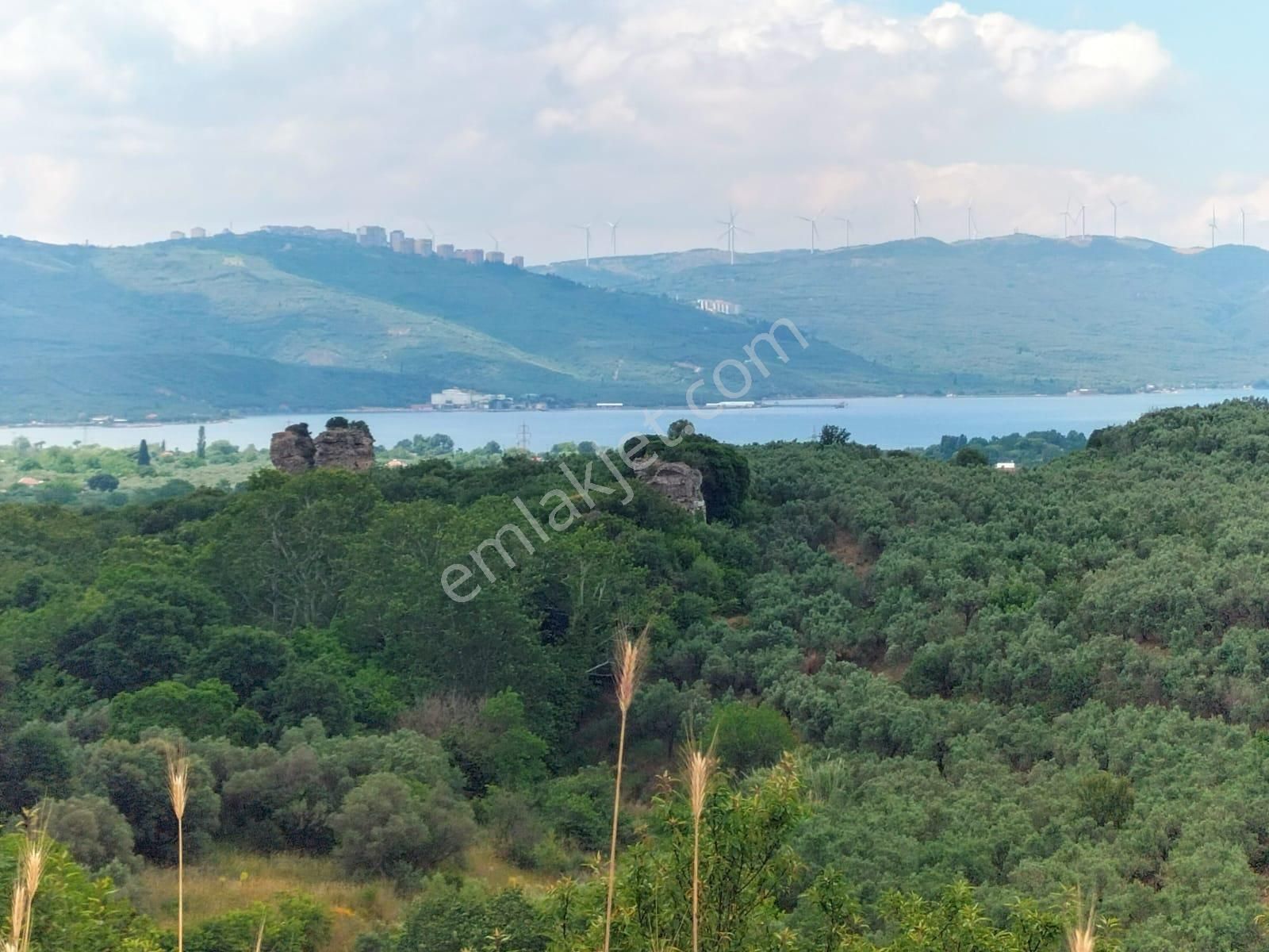 Erdek Hamamlı Satılık Zeytinlik Balıkesir Erdek Hamamli Mahallesinde Satılık Deniz Manzaralı Zeytinlik