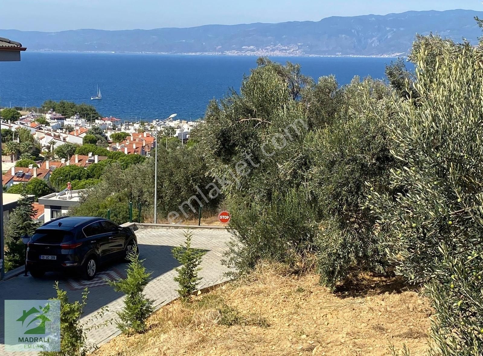 Balıkesir Burhaniye Satılık Zeytinlik Madralı Emlaktan Pelitköyde İmarın Dibi Satılık Zeytinlik