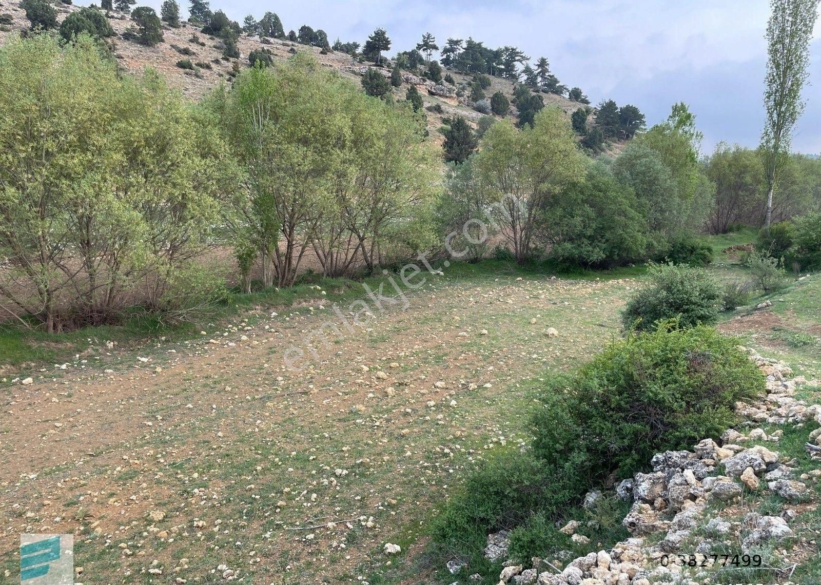 Karaman Merkez Lale Köyü Satılık Bağ & Bahçe Emlak Reyonu Lale Köyünde 1533 M² Hobi Bahçesi Satıyor