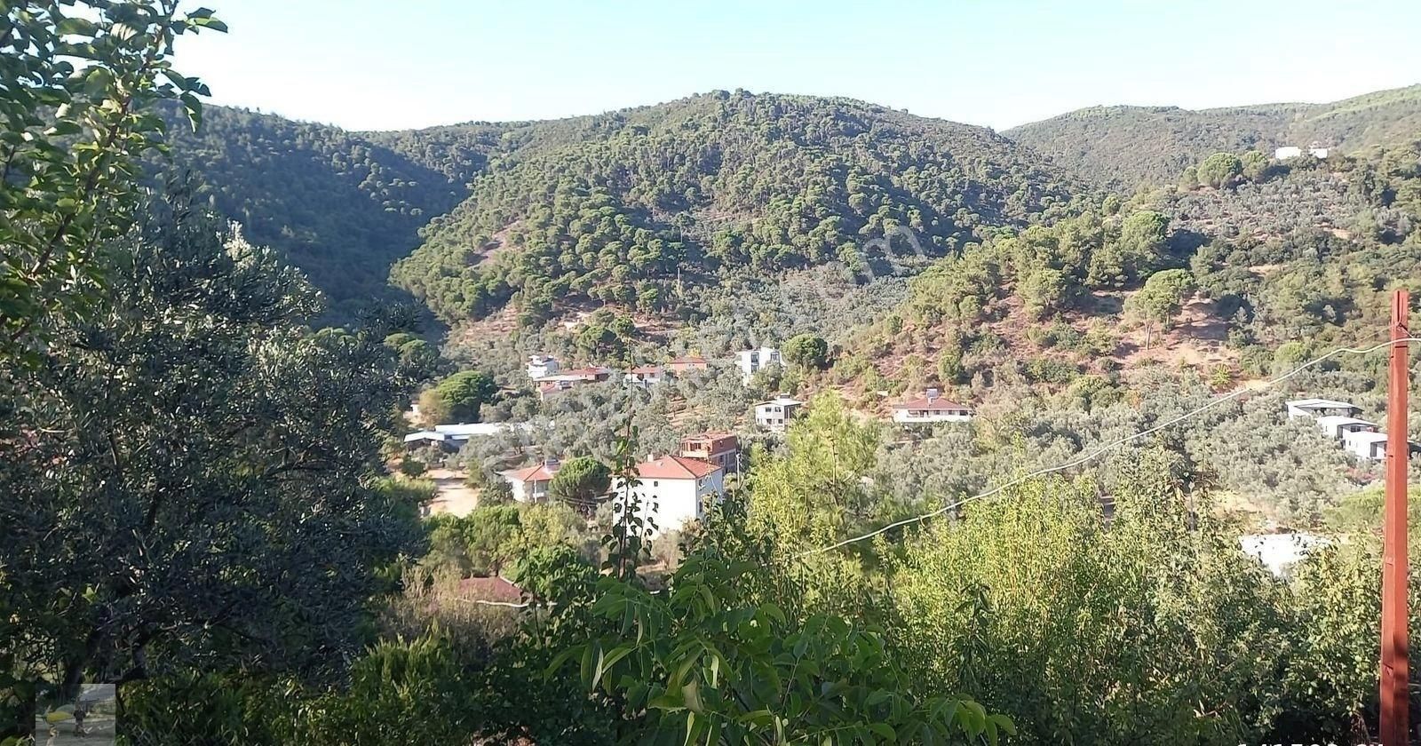 Armutlu Fıstıklı Köyü (Merkez) Satılık Konut İmarlı Köy İçinde Müstakil Ev Olan Arsa Mız Satılık...