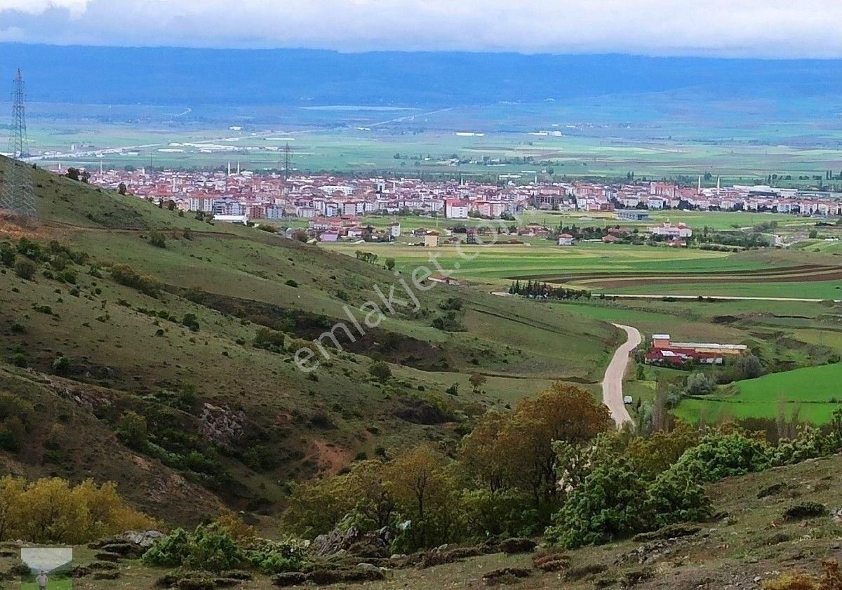 Merzifon İnalanı Köyü Satılık Tarla Yuvam Emlaktan İnalanı (hacıveli) Köyünde 12870m2 Tarla