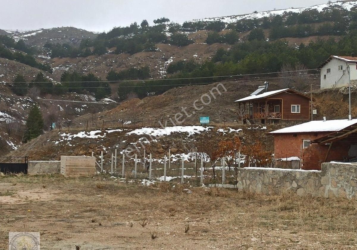 Merzifon Muşruf Köyü (Merkez) Satılık Daire Yuvam Emlaktan Muşruf Köyünde Ruhsatlı .bahçeli 1.059m2 Satılık Müstakil Bahçeli Ev