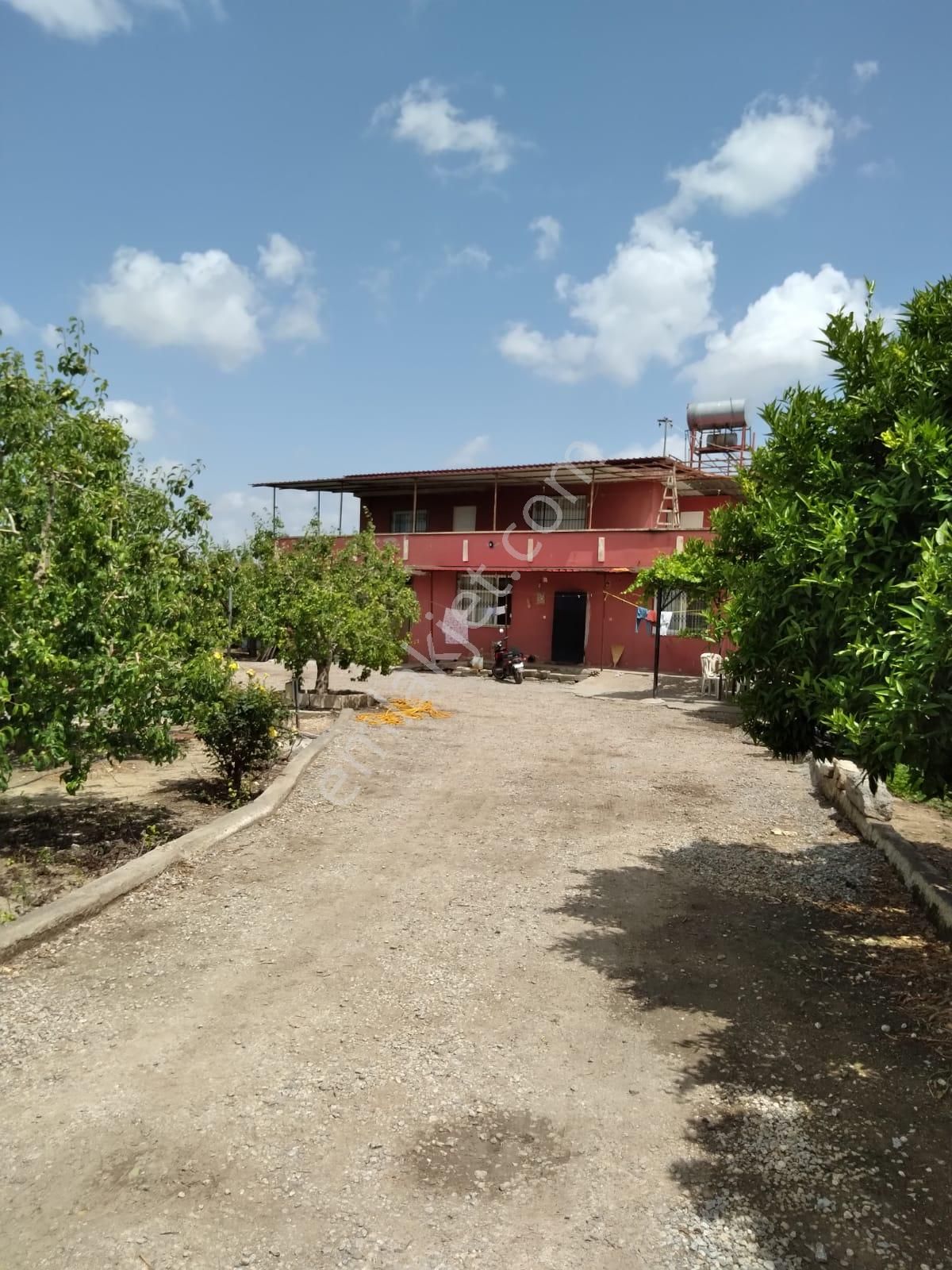 Nw Gayrimenkul Yenice'de 45 Dönüm Bol Verimli Kazanç Sağlayan Satılık Meyve Bahçesi - Görsel 18