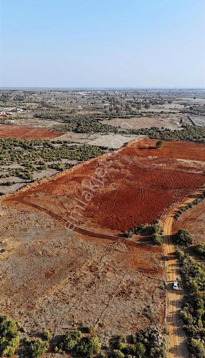 Kepez Kızıllı Satılık Tarla Kupon 2b Sorunsuz Satılık Kaçmaz Fırsat Alan Kazanır