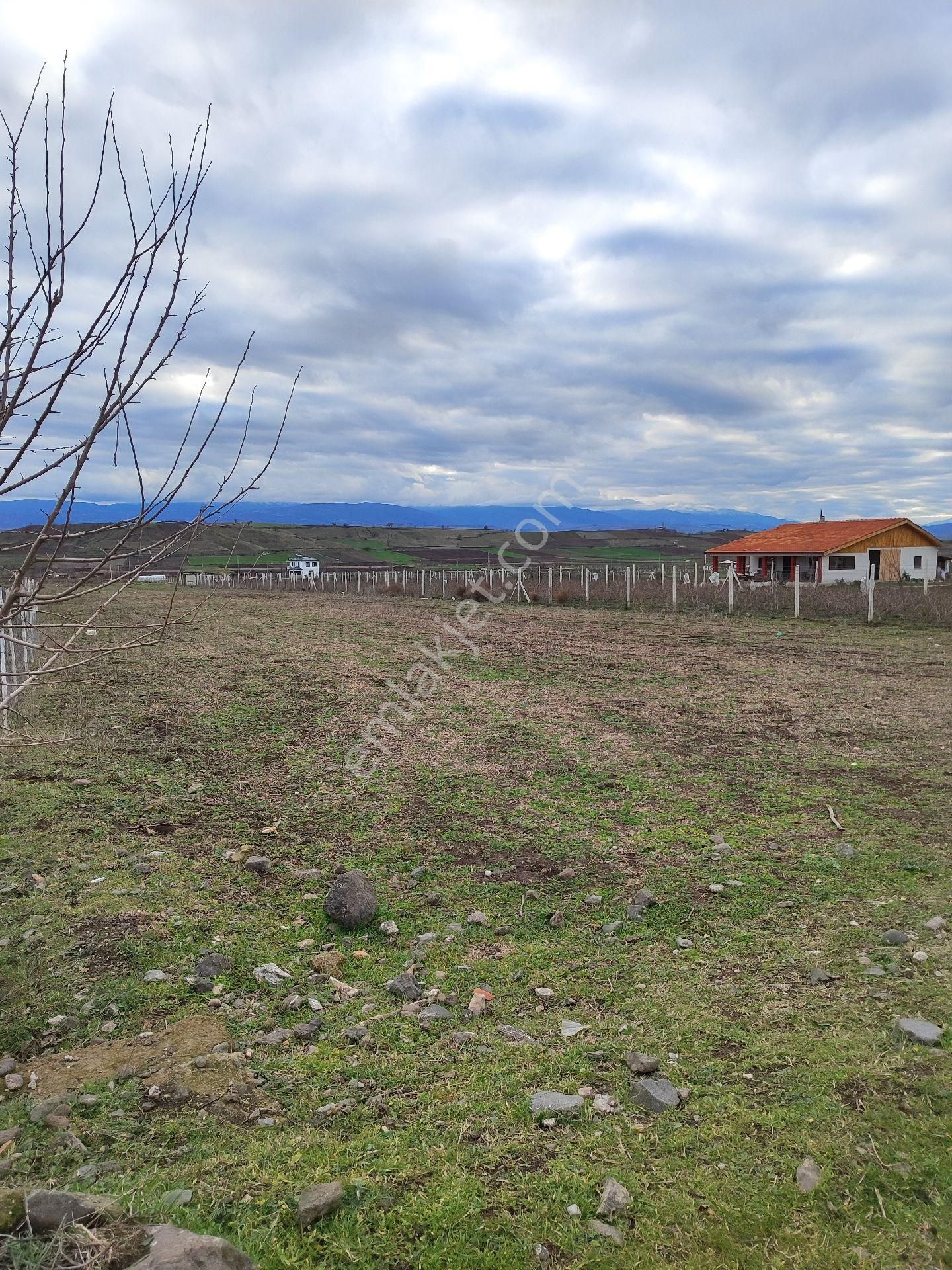 Satılık Tarla - Son Fiyattır - Görsel 3